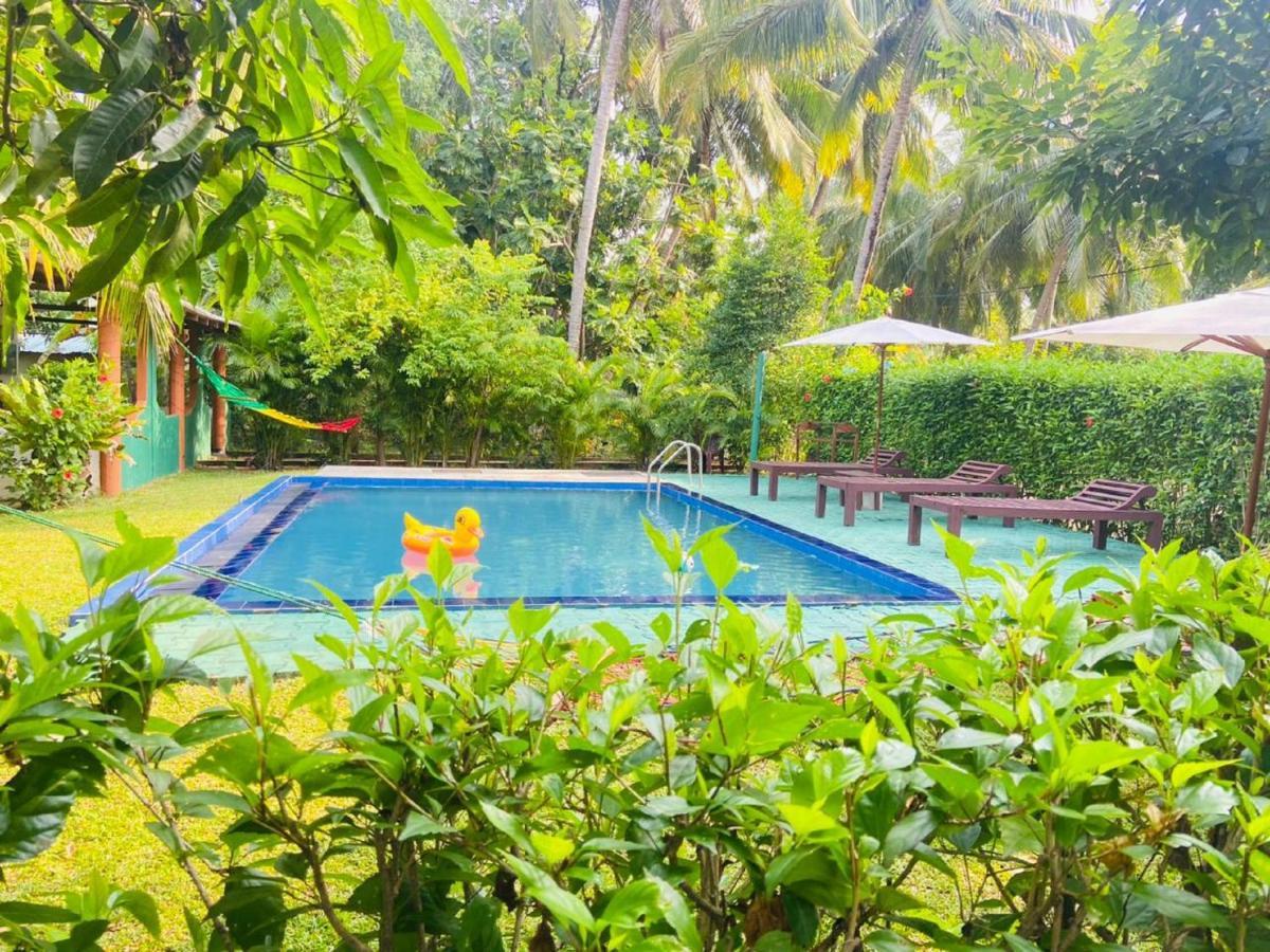 Sigiri Charuka Resort Sigiriya Exterior foto